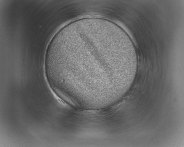 X0000074930861200609221637