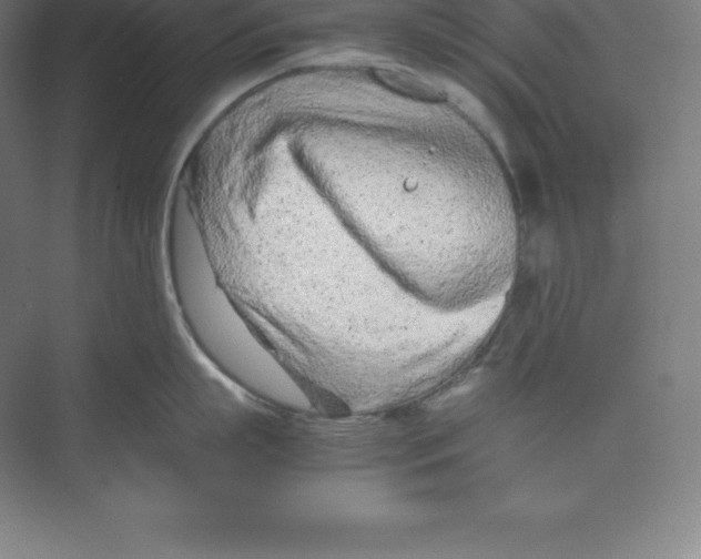 X0000074930863200609221637