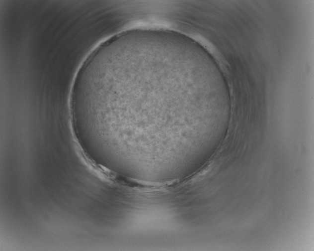 X0000074930864200609221637