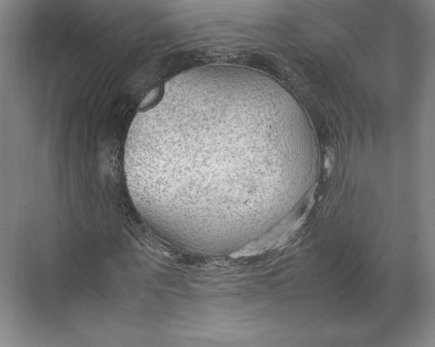 X0000074930867200609221636