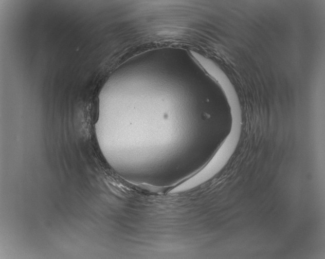 X0000074930868200609221636