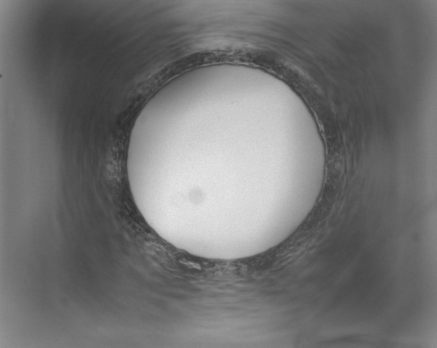 X0000074930869200609221636