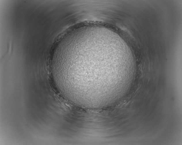 X0000074930870200609221636