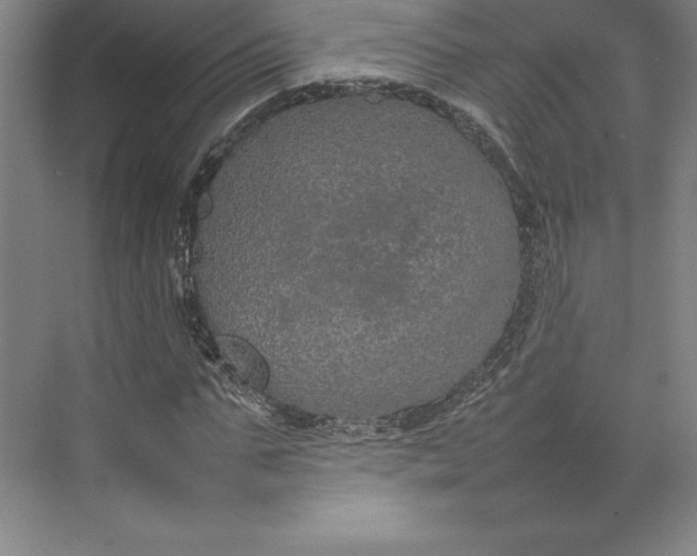 X0000074930871200609221636