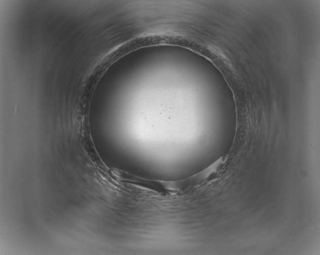 X0000074930872200609221636