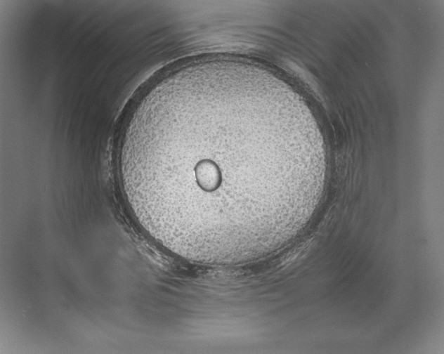 X0000074930875200609221636