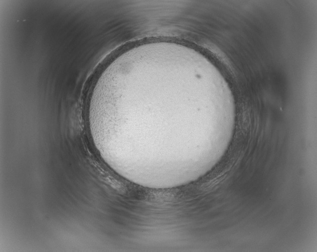 X0000074930878200609221636