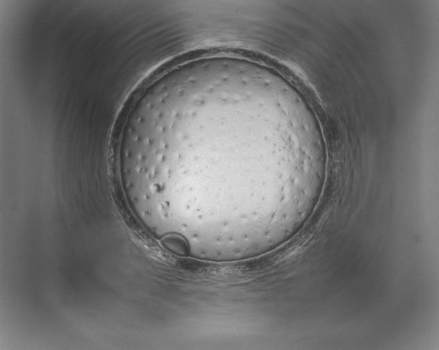 X0000074930879200609221636