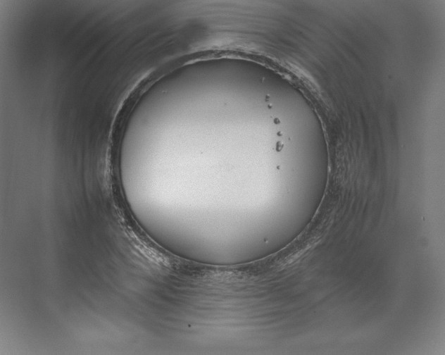 X0000074930880200609221636