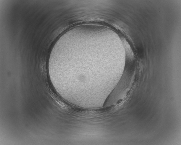 X0000074930881200609221636