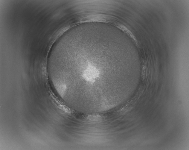 X0000074930882200609221636