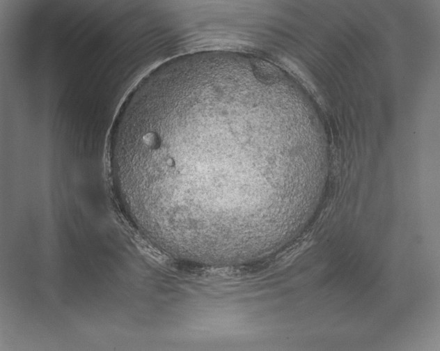 X0000074930883200609221636