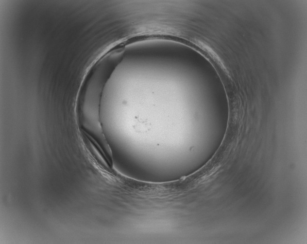 X0000074930885200609221636