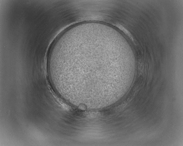 X0000074930886200609221636