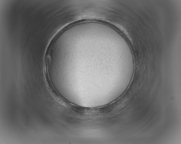 X0000074930887200609221636