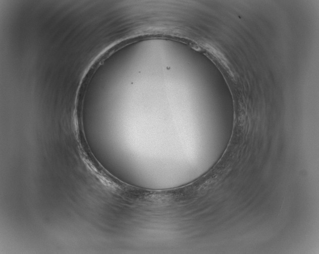 X0000074930888200609221636