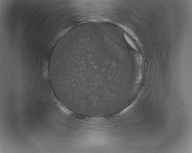 X0000074930889200609221636