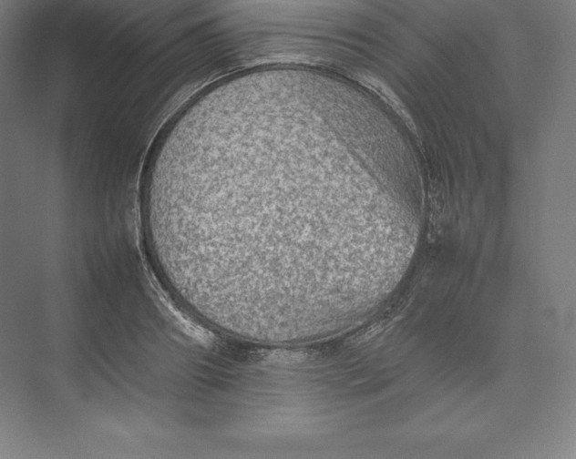 X0000074930890200609221636