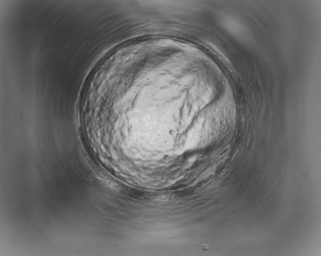 X0000074930891200609221636