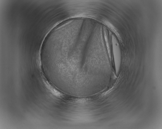 X0000074930892200609221636