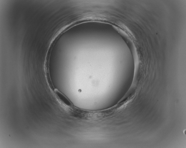 X0000074930893200609221636