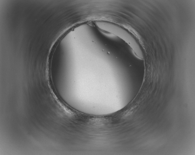 X0000074930894200609221636