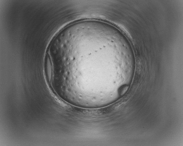 X0000074930895200609221636