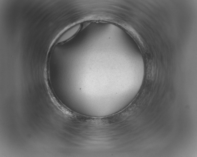 X0000074930896200609221636