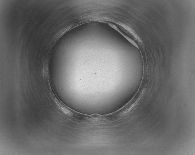 X0000074930897200609221636