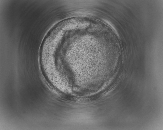 X0000074930899200609221636