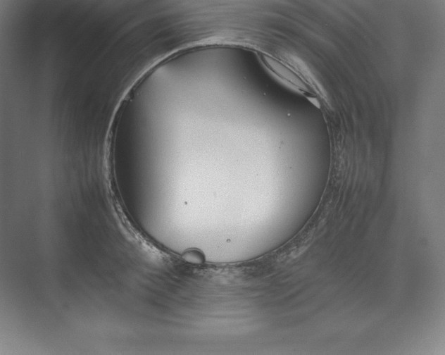 X0000074930900200609221636