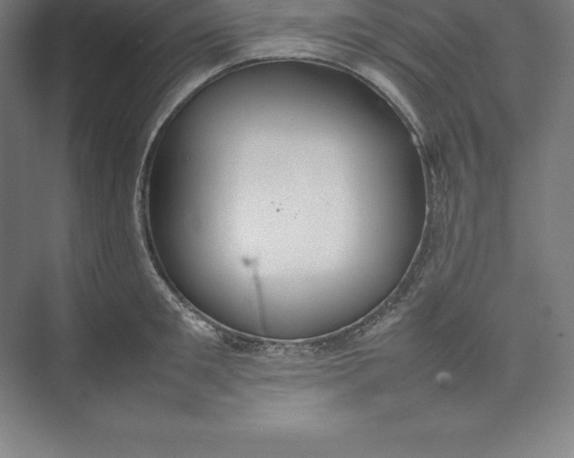 X0000074930901200609221636