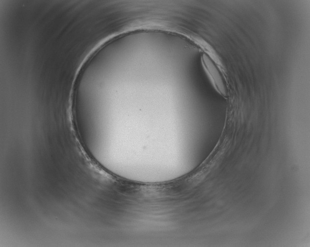 X0000074930904200609221636