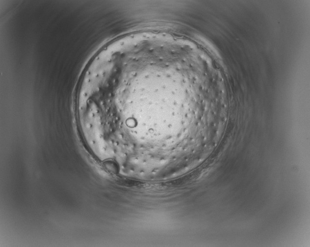 X0000074930907200609221636