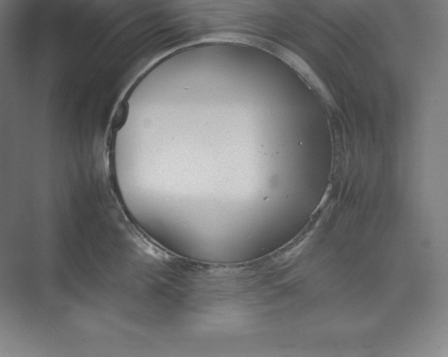 X0000074930908200609221636