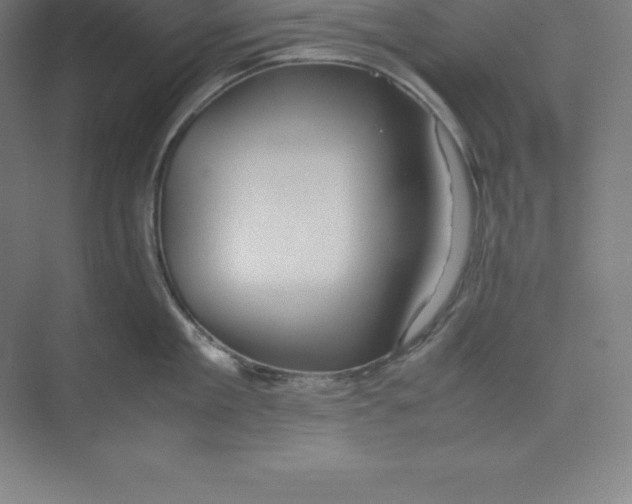 X0000074930909200609221636