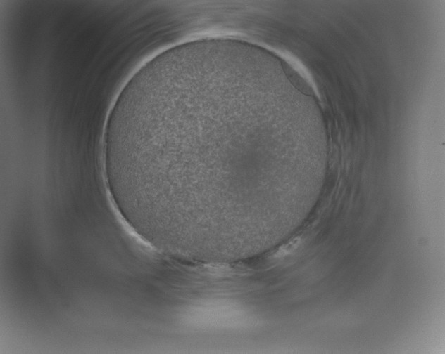 X0000074930911200609221636