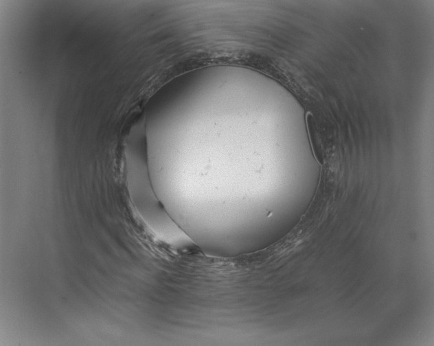 X0000074930916200609221635