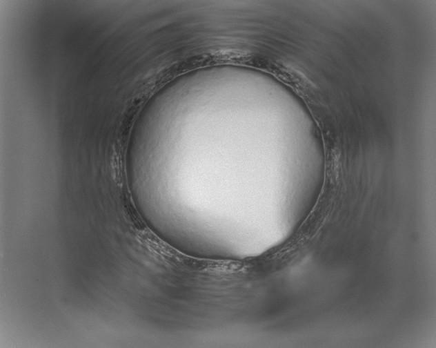 X0000074930917200609221635