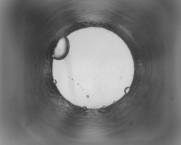 X0000074930918200609221635