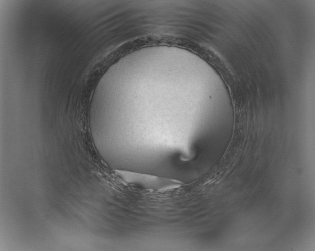 X0000074930919200609221635