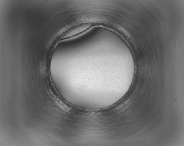 X0000074930922200609221635