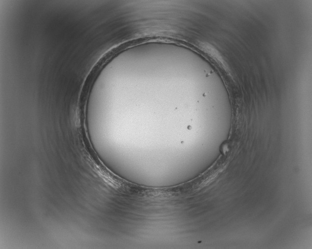 X0000074930924200609221635