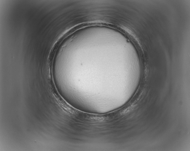 X0000074930925200609221635