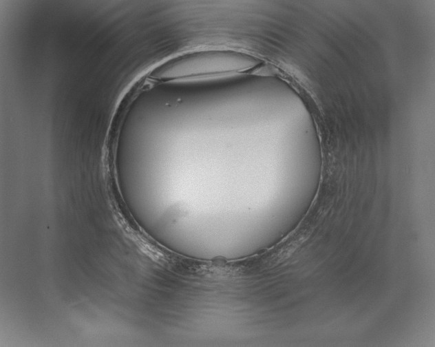 X0000074930928200609221635