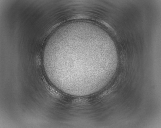 X0000074930929200609221635