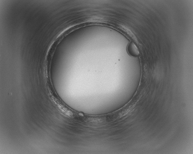 X0000074930931200609221635