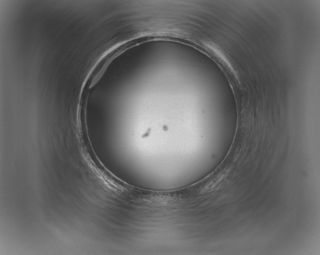 X0000074930932200609221635