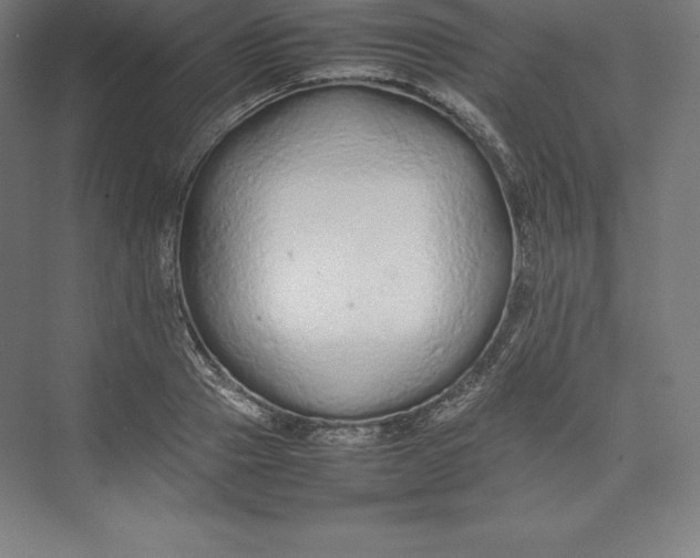 X0000074930937200609221635