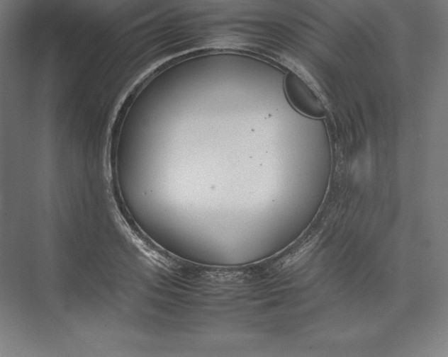 X0000074930939200609221635